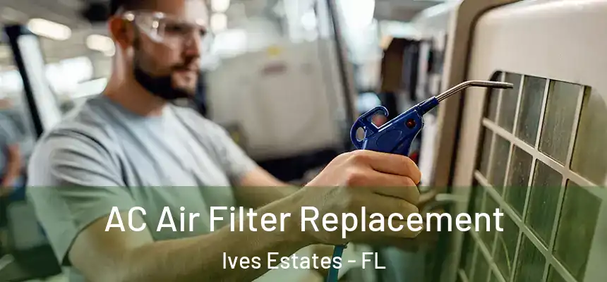  AC Air Filter Replacement Ives Estates - FL
