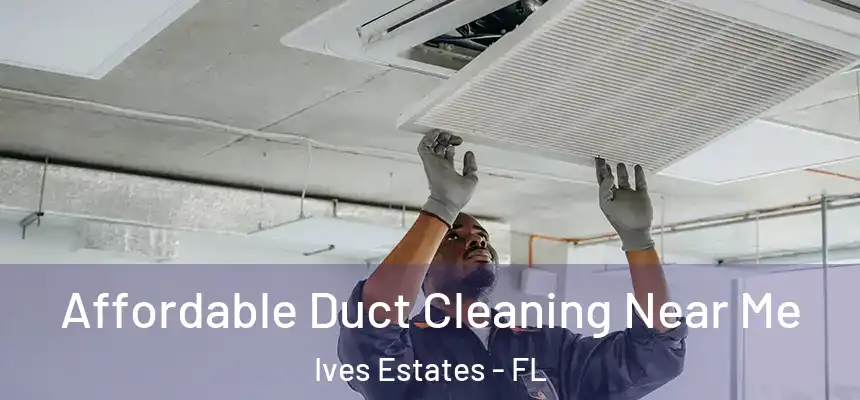  Affordable Duct Cleaning Near Me Ives Estates - FL
