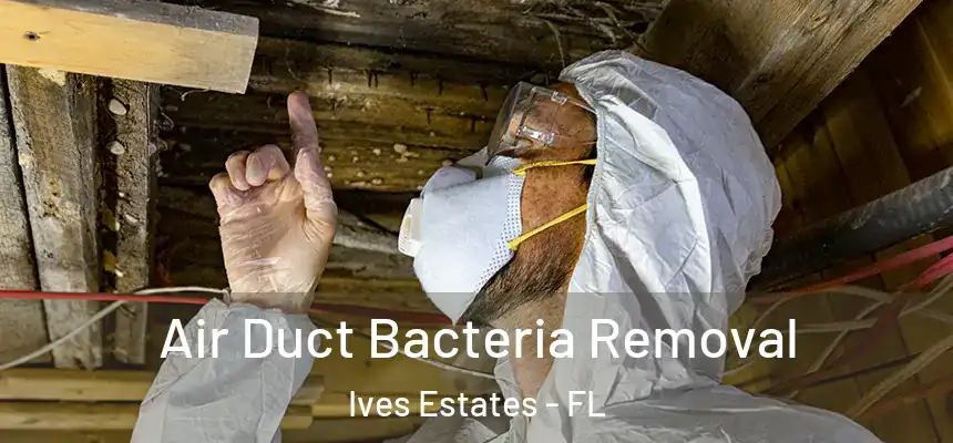  Air Duct Bacteria Removal Ives Estates - FL