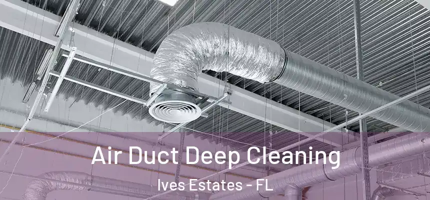 Air Duct Deep Cleaning Ives Estates - FL