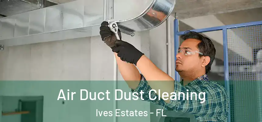  Air Duct Dust Cleaning Ives Estates - FL