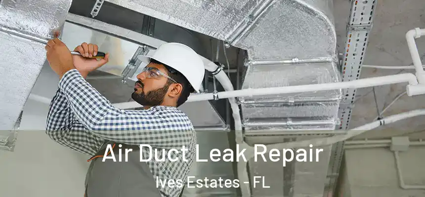  Air Duct Leak Repair Ives Estates - FL