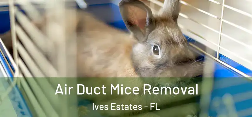 Air Duct Mice Removal Ives Estates - FL