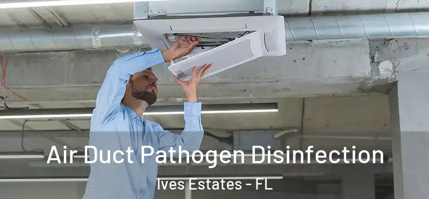  Air Duct Pathogen Disinfection Ives Estates - FL
