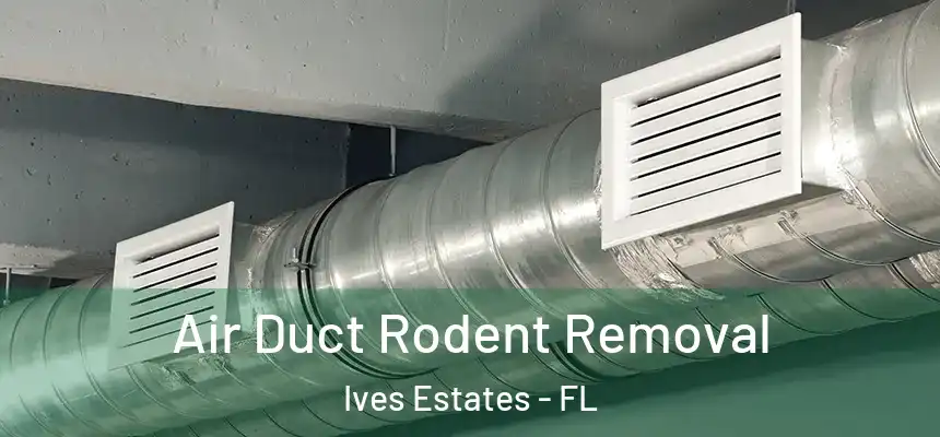  Air Duct Rodent Removal Ives Estates - FL