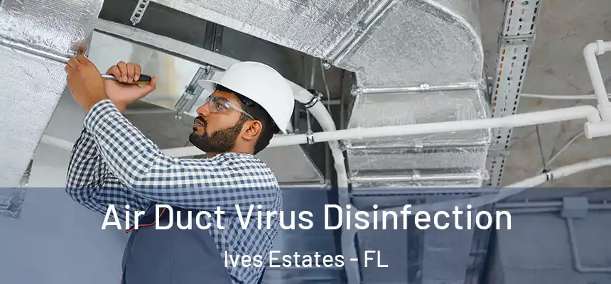 Air Duct Virus Disinfection Ives Estates - FL