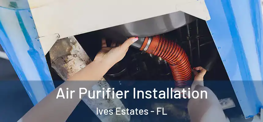  Air Purifier Installation Ives Estates - FL