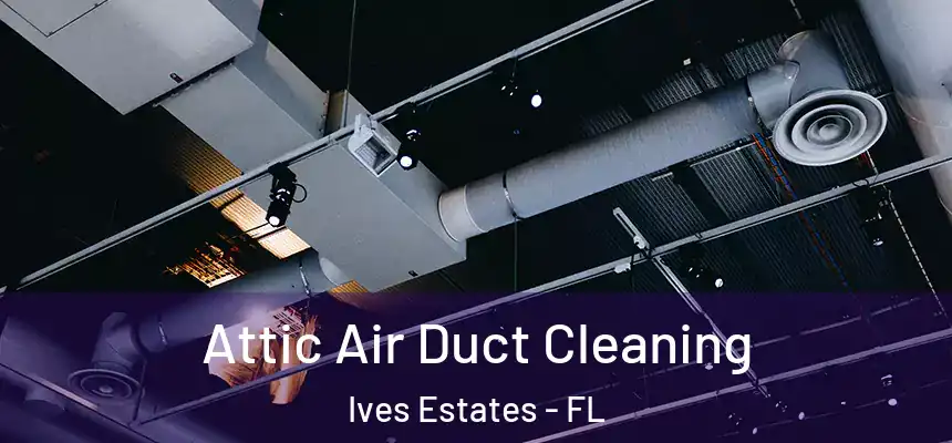 Attic Air Duct Cleaning Ives Estates - FL
