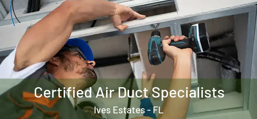  Certified Air Duct Specialists Ives Estates - FL