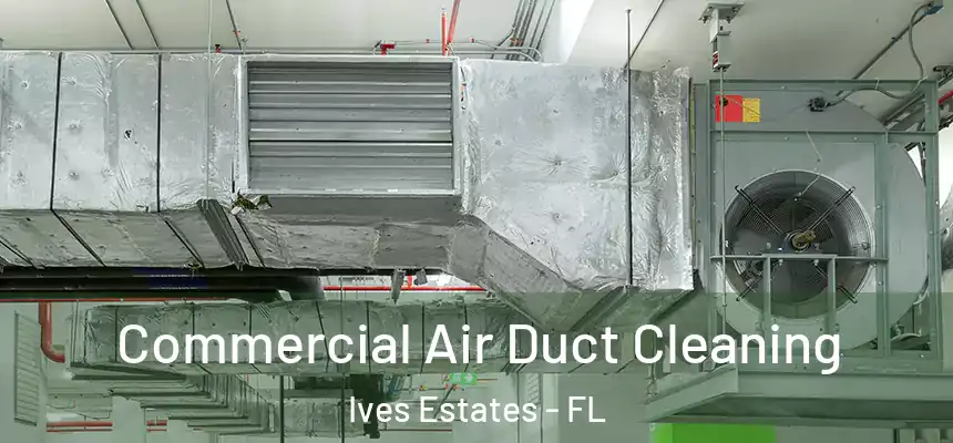  Commercial Air Duct Cleaning Ives Estates - FL