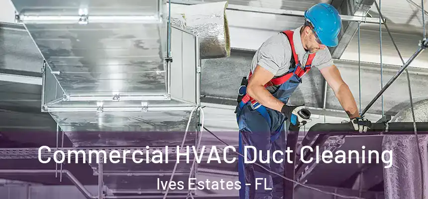  Commercial HVAC Duct Cleaning Ives Estates - FL