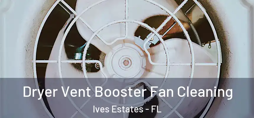  Dryer Vent Booster Fan Cleaning Ives Estates - FL