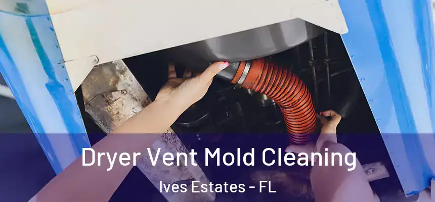  Dryer Vent Mold Cleaning Ives Estates - FL
