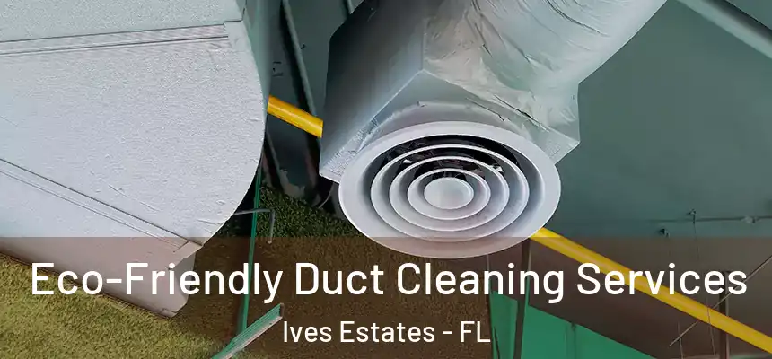  Eco-Friendly Duct Cleaning Services Ives Estates - FL
