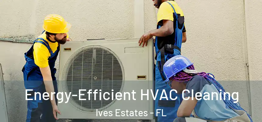  Energy-Efficient HVAC Cleaning Ives Estates - FL