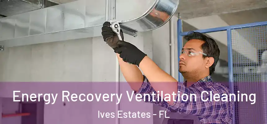 Energy Recovery Ventilation Cleaning Ives Estates - FL