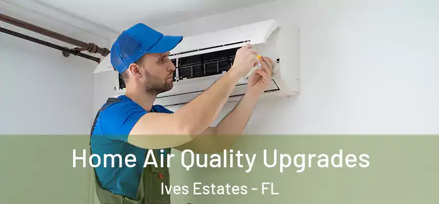  Home Air Quality Upgrades Ives Estates - FL