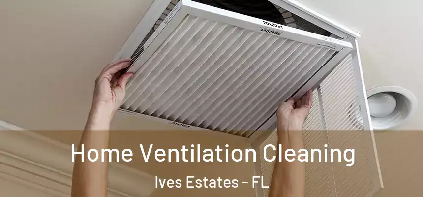 Home Ventilation Cleaning Ives Estates - FL