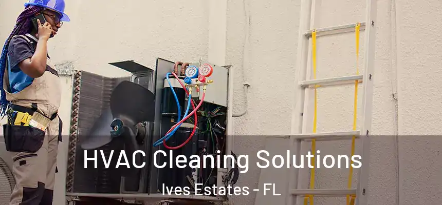  HVAC Cleaning Solutions Ives Estates - FL