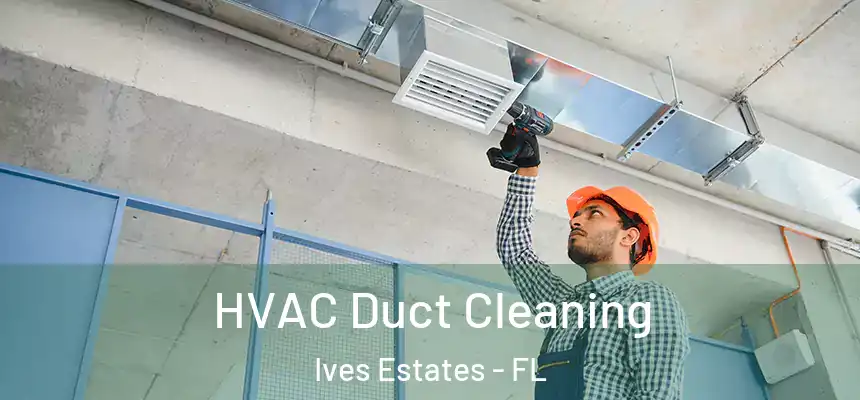 HVAC Duct Cleaning Ives Estates - FL