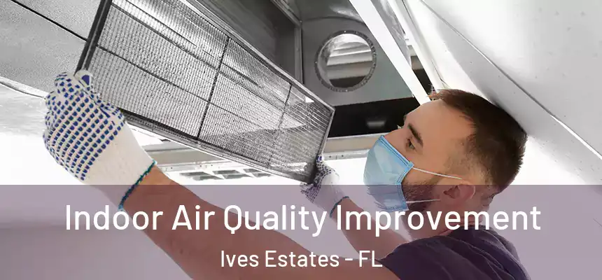 Indoor Air Quality Improvement Ives Estates - FL