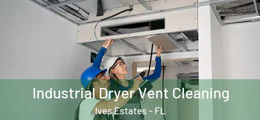  Industrial Dryer Vent Cleaning Ives Estates - FL