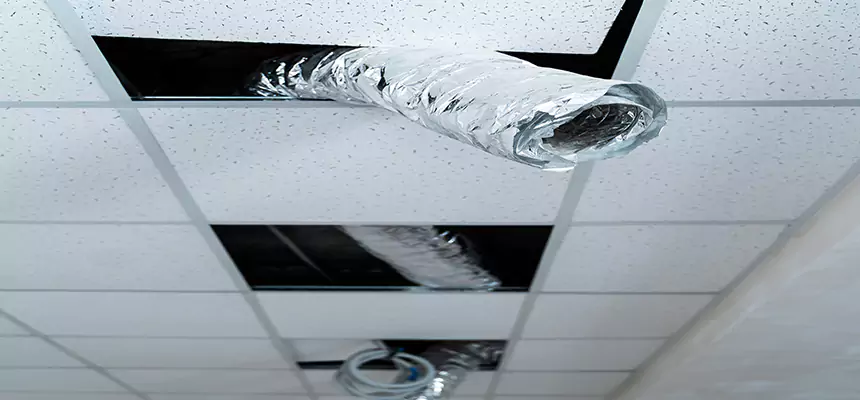 Our Air Duct Pet Hair Removal Services in Ives Estates, FL