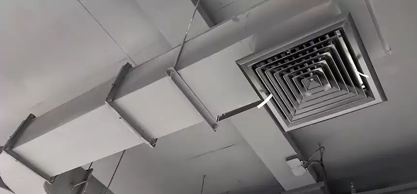 Restorative Allergy Relief Vent Cleaning – Coil, Blower & Housing Detail in Ives Estates