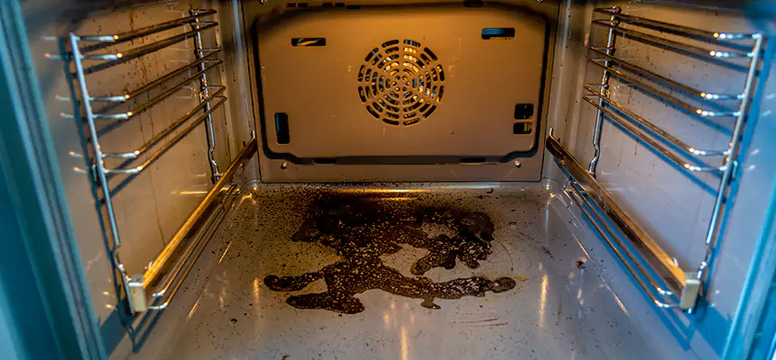 Our Dryer Vent Mold Cleaning Services in Ives Estates, FL