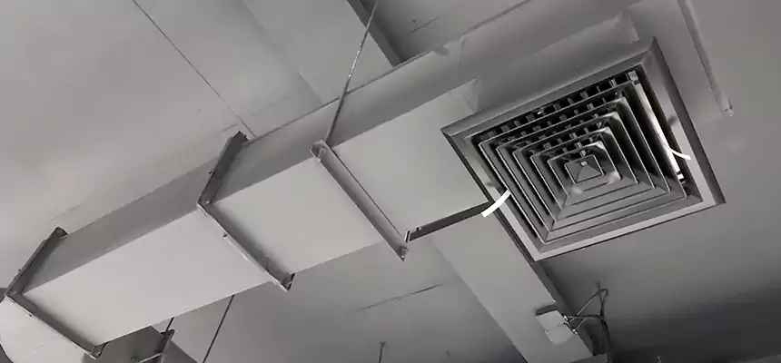 Our Pest Removal From Ducts Services in Ives Estates, FL