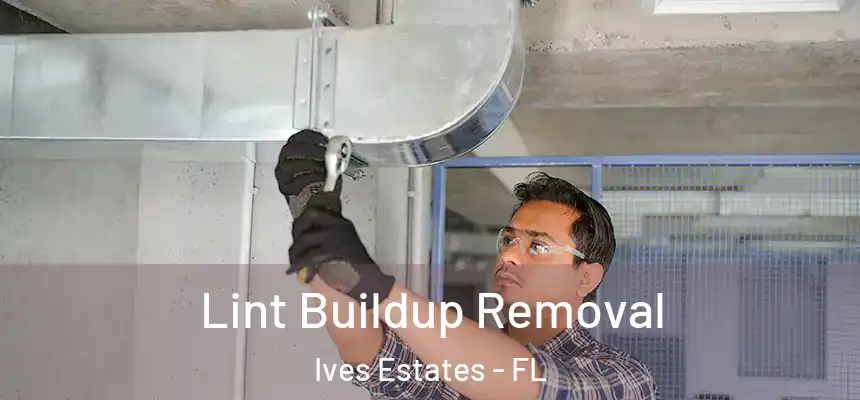  Lint Buildup Removal Ives Estates - FL