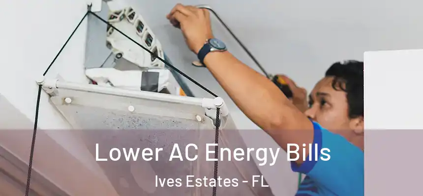  Lower AC Energy Bills Ives Estates - FL