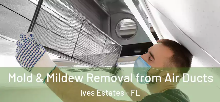 Mold & Mildew Removal from Air Ducts Ives Estates - FL