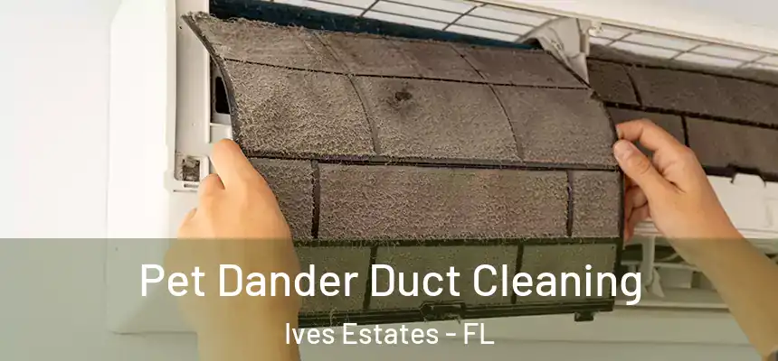 Pet Dander Duct Cleaning Ives Estates - FL