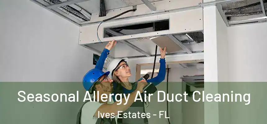  Seasonal Allergy Air Duct Cleaning Ives Estates - FL