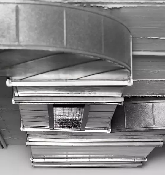 Professional Air Duct Pet Hair Removal in Ives Estates, FL