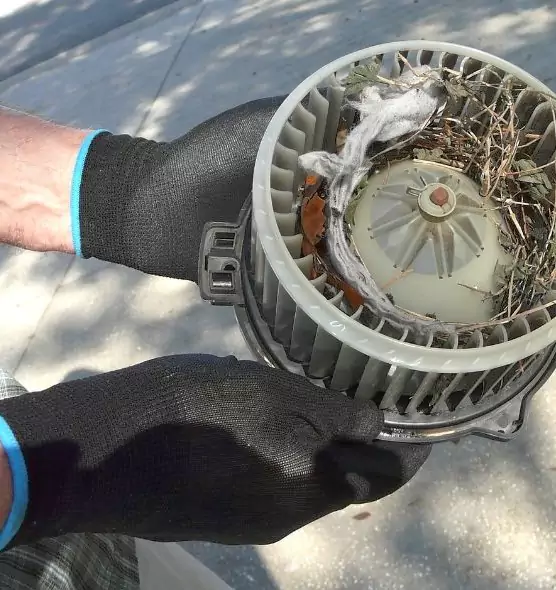 About Air Duct Rat Removal in Ives Estates, FL