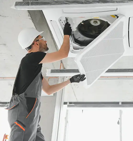 About Air Duct Rodent Removal in Ives Estates, FL