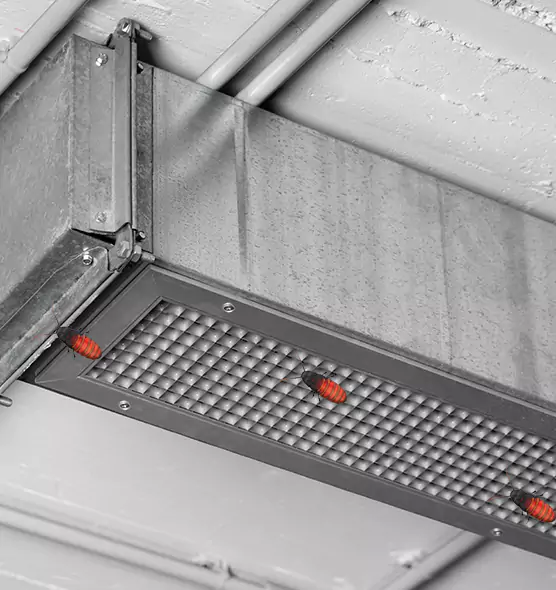 Affordable Insect Removal from Air Ducts in Ives Estates, FL