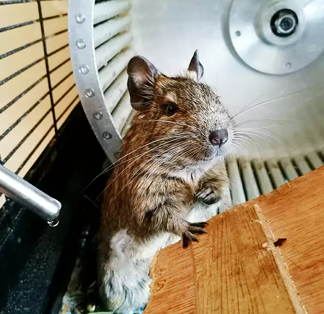 Why Homeowners & Businesses Trust Us Ives Estates, FL?