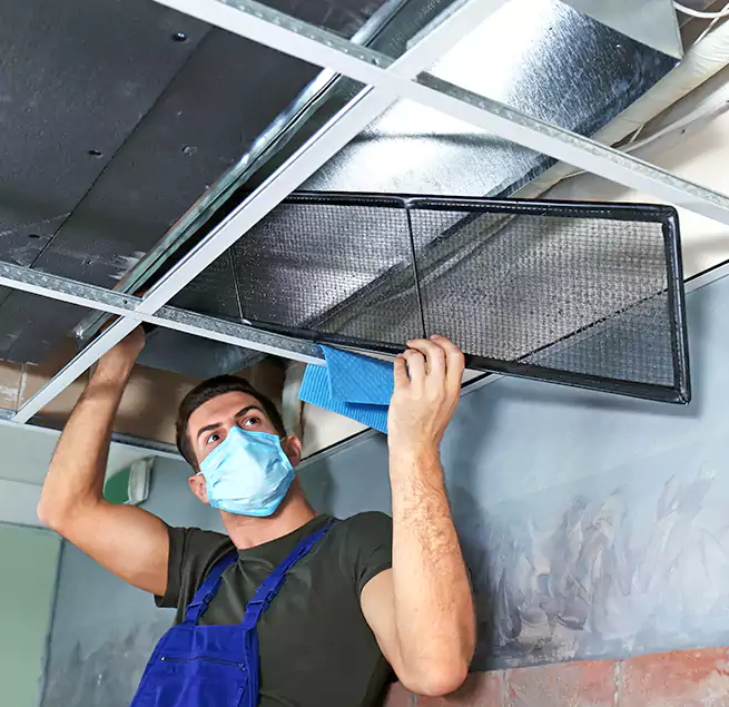 Why Homeowners Businesses Trust Us in Ives Estates, FL