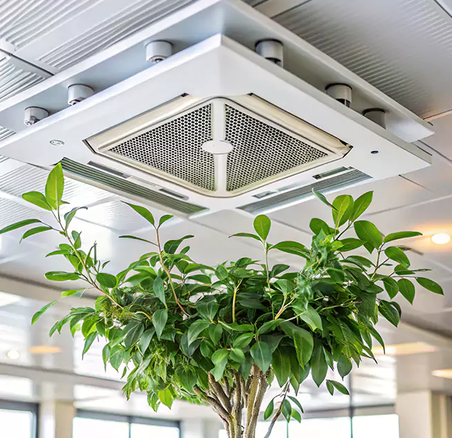 Why Homeowners & Businesses Trust Us in Ives Estates, FL?