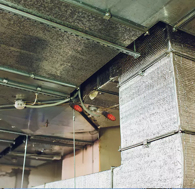 Why Homeowners & Businesses Trust Us Ives Estates, FL?