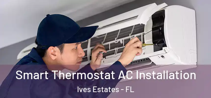  Smart Thermostat AC Installation Ives Estates - FL