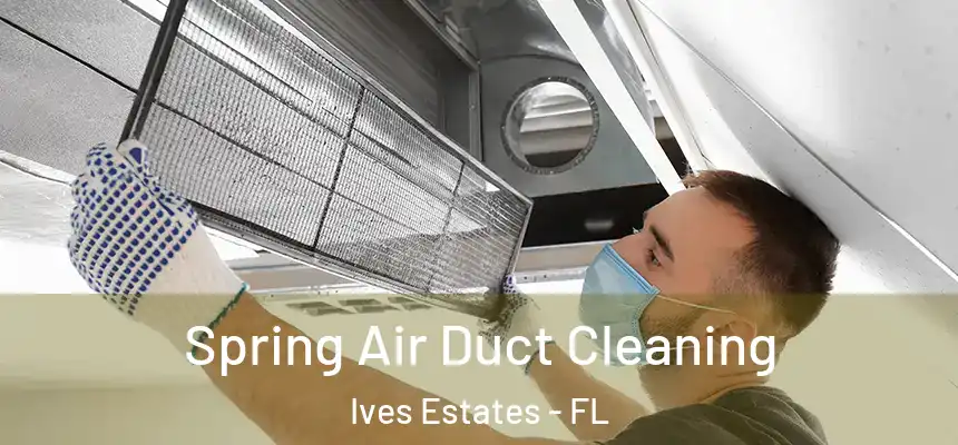  Spring Air Duct Cleaning Ives Estates - FL