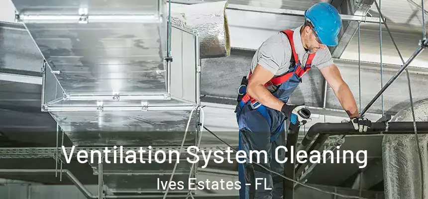  Ventilation System Cleaning Ives Estates - FL