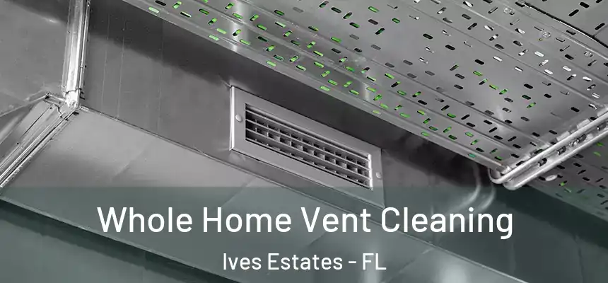  Whole Home Vent Cleaning Ives Estates - FL